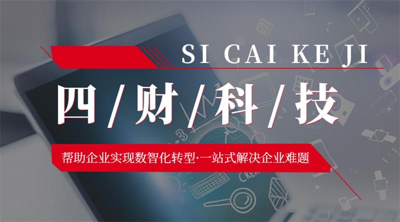 成都四財科技，助力企業(yè)實現(xiàn)數(shù)智化轉(zhuǎn)型